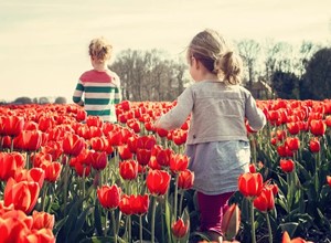 Por qué las personas están más felices en primavera